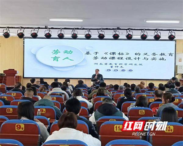 Bsport体育：宁远县组织开展2024年心理健康教育和劳动教育培训(图2)